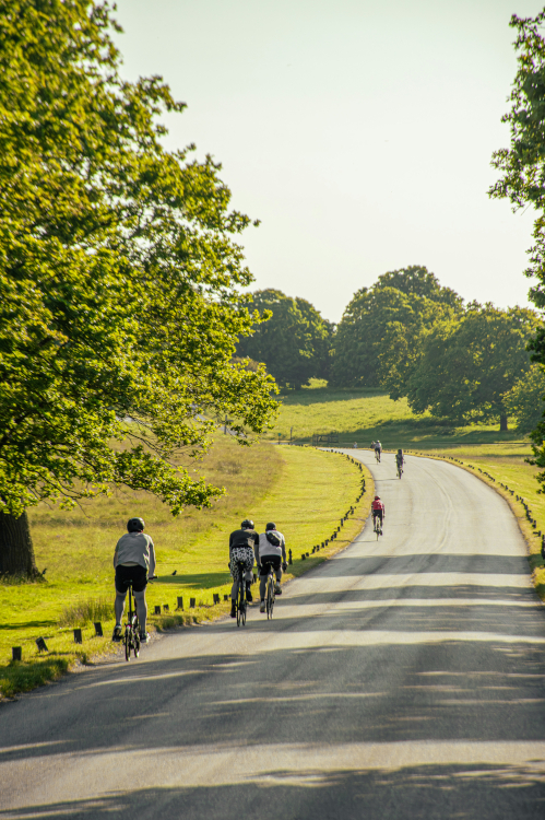 Cycling